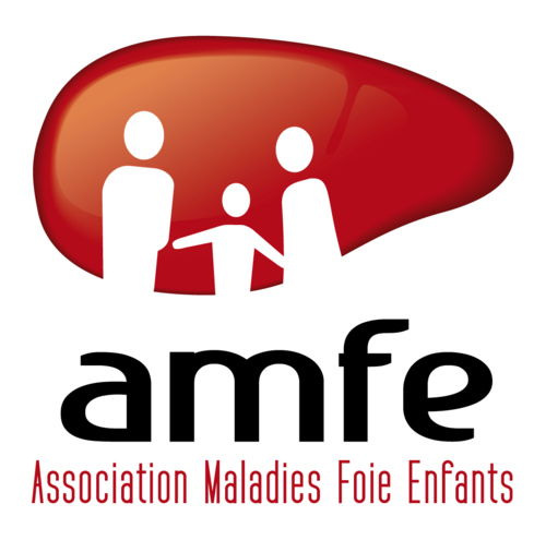 logo AMFE