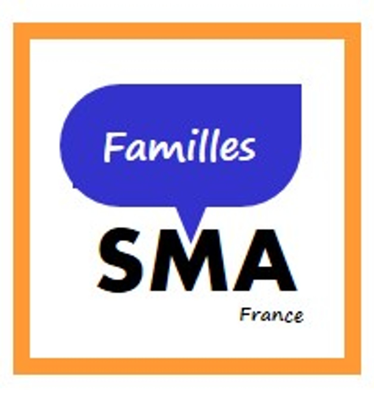 logo FSMA France